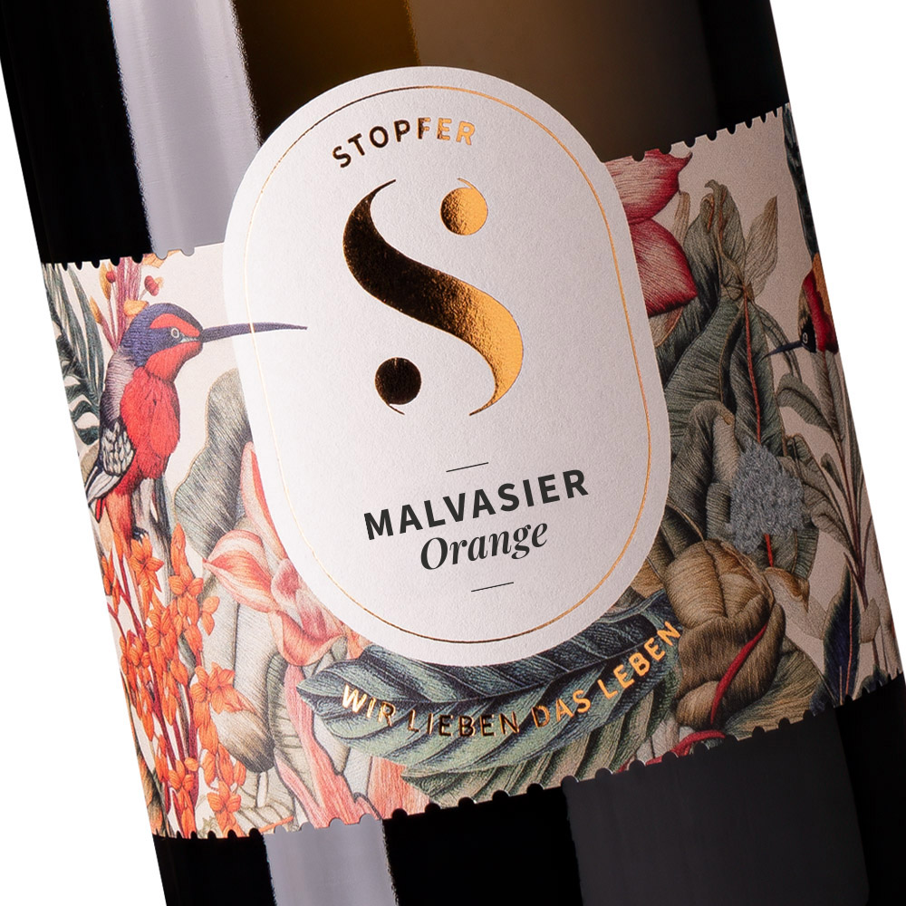Featured image for “Malvasier 2025<br />Orange Wine”